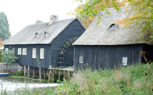 Hooydonkse-watermolen-1